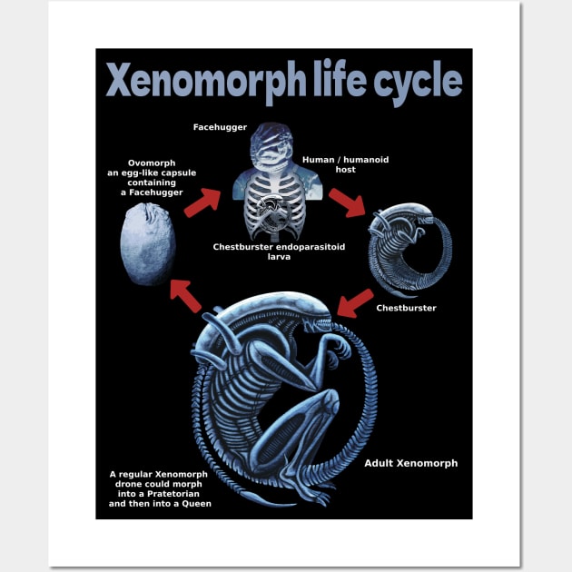 Xenomorph life cycle Wall Art by SPACE ART & NATURE SHIRTS 